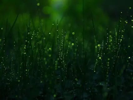 Amazing Healing Sound For Stress Relief & Deep Sleep 