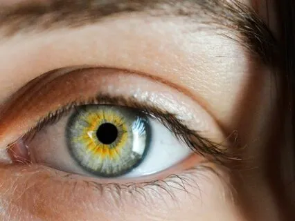 Amazingly Serene Concentration Music