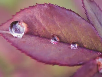 Amazingly Serene Concentration Music