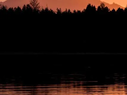 Amber Sunrise