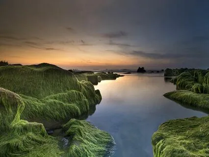 Ambience Sleep Tones - 528 Hz