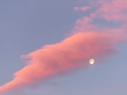 Ambient Background Music: Nature And Love (10 Minutes) 