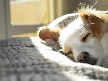 Ambient Bliss - Binaural Beats - Delta Brain Waves