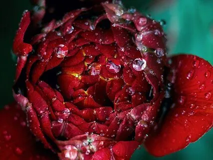 Ambient Soundscape 174 Hz Healing Emotional & Physical Pain