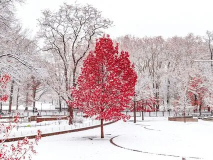 Ambient Soundscape 396 Hz Healing Guilt & Negative Blocks