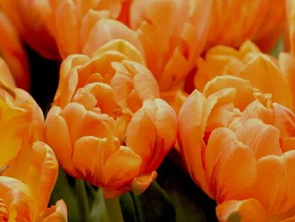 Ambient Soundscape 417 Hz Clear Damage, Heal Trauma