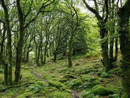 Ambient Soundscape 639 Hz Communication And Connection