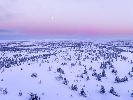 Ambient Frequencies - Holiday Soundscape 