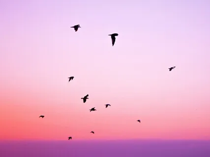 Ambient Frequencies - Together
