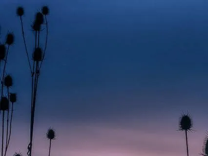 Ambient Lullaby Music To Heal Insomnia