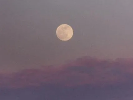 Ambient Music For Deep Sleep And Anxiety Relief 7 Hours