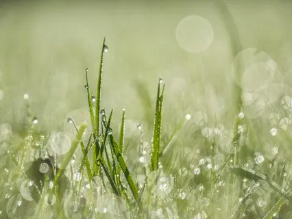 Ambient Music For Focus & Creativity With Rain Sounds