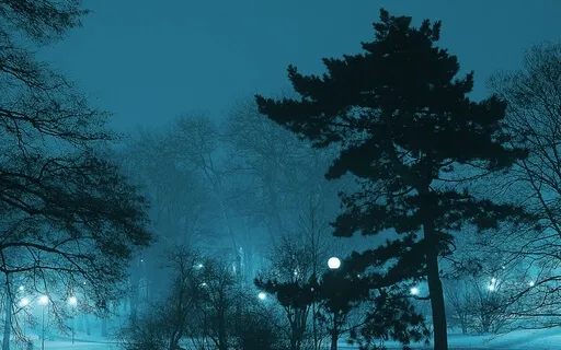 Ambient Music For Sleep & Relaxation