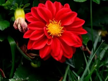 Ambient Music For When You Feel Alone