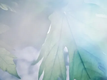 Ambient Music: Weightless (Prayer)