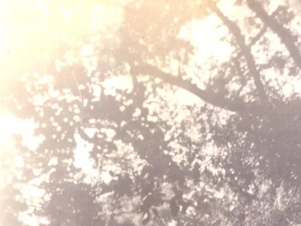 Ambient Music: Xanadu