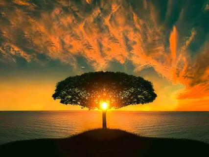 Ambient Mystical Meditation