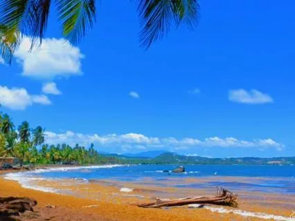 Ambient Ocean Waves Sound For Relaxation And Sleep