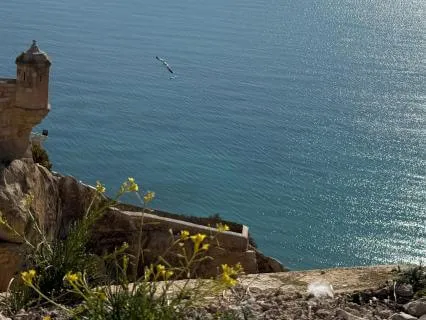 Ambient Piano Meditation