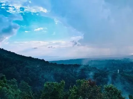 Ambient Rain & Nature Sounds for Sleep 1hr