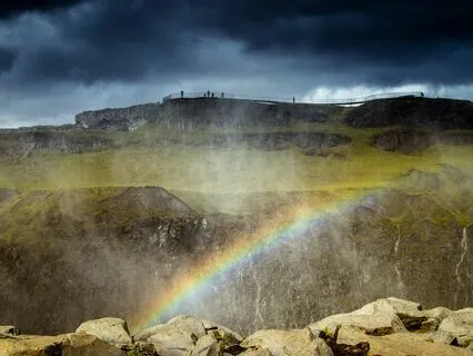 Ambient Relaxation: Morning Rain