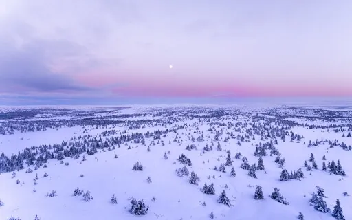 Ambient Relaxing Music Piano & Strings For Meditation