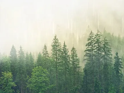 Ambient Relaxing Sounds Of Rain & Beautiful Piano Music