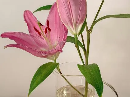 Ambient Shifting Frequencies For Deep Transformation