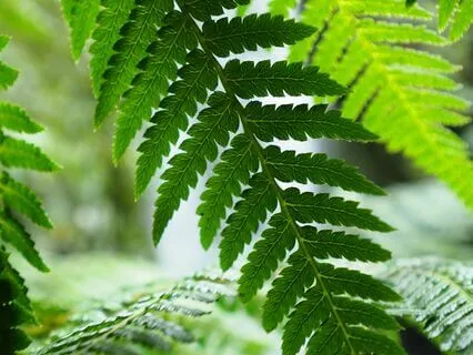 Drowning Out Distractions With White Noise