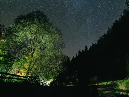 Ambient Sound For Meditative Time: Choir Of Insects' songs