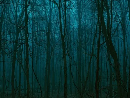 Ambient Sounds