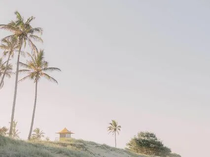 Ambient Study Music: Focus Without Distraction