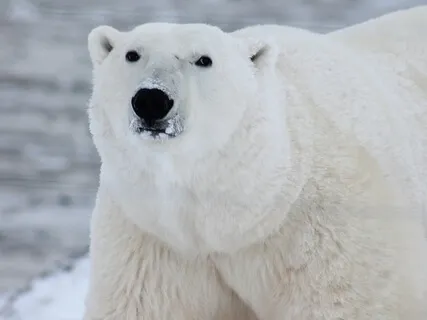 Ambient Study Music To Concentrate | Music For Studying