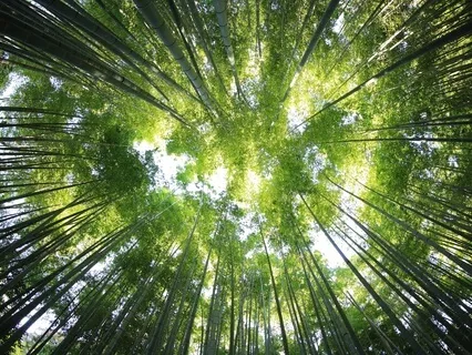 Ambient Transmission 6 - Solfeggio Frequency 639 Hz