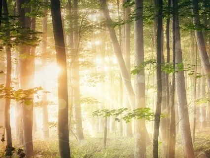 Ambiente Solstice - Atmospheric Phenomenon