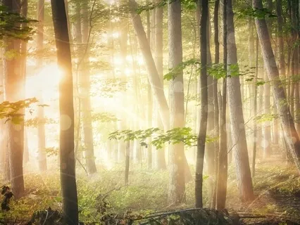 Ambiente Solstice - Awaken From A Dream