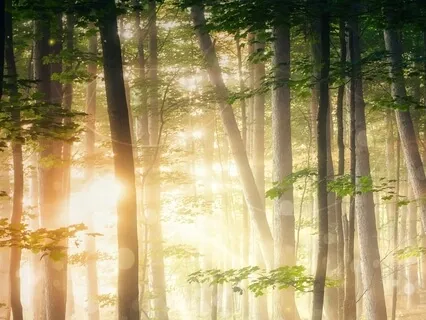 Ambiente Solstice - Distant Obscure Beacon