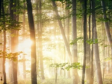 Ambiente Solstice - Translucence