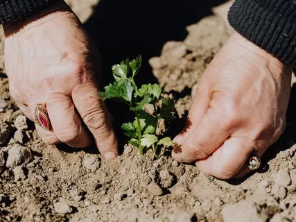 Native American Fertility Chant For Growth