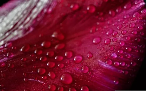 Amplified Pink Noise - The Pink Noise Collection