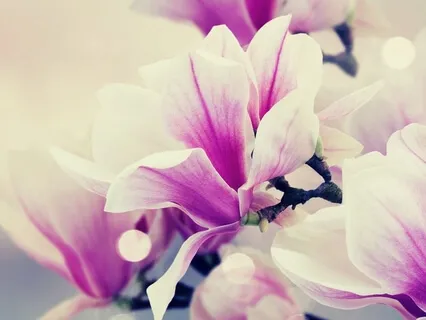 Amplify Your Energy Field