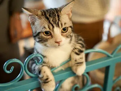 Amplify Your Impact: Help Others By Nurturing Yourself