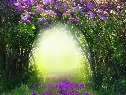 Amplify Your Manifestation: Power Of Intention