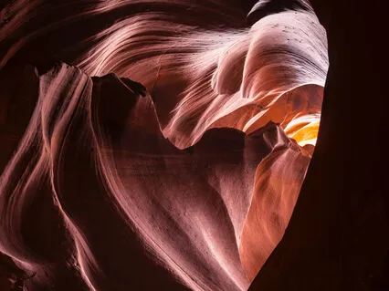 Amplify Your Voice, From Your Heart Vibration