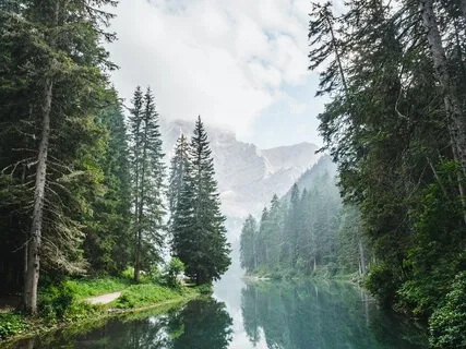 An Afternoon By The River (Part II)