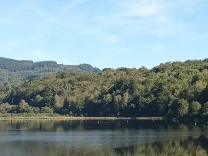 An Ambient Melody From Galaxies Afar