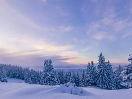 Arctic Music | Deep Emotional Reset | 15 Minutes