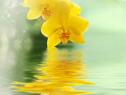 An Attitude Of Gratitude - Move From Pessimism To Optimism With It