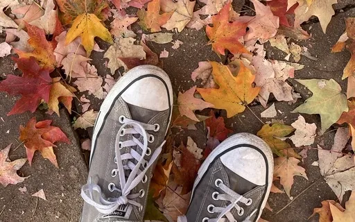 An Autumn Awareness Walk