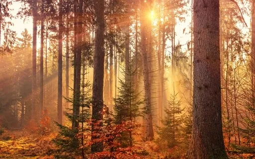 An Autumn Meditation